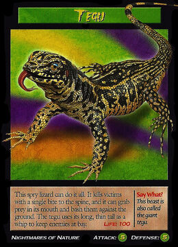 Tegu Weird n Wild Creatures Wiki Fandom