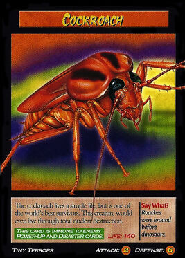 Cockroach