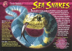Sea Snake front