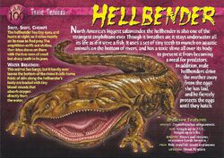 Hellbender, Weird n' Wild Creatures Wiki