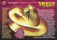 Mulga front.jpg (1.36 MB) Mulga