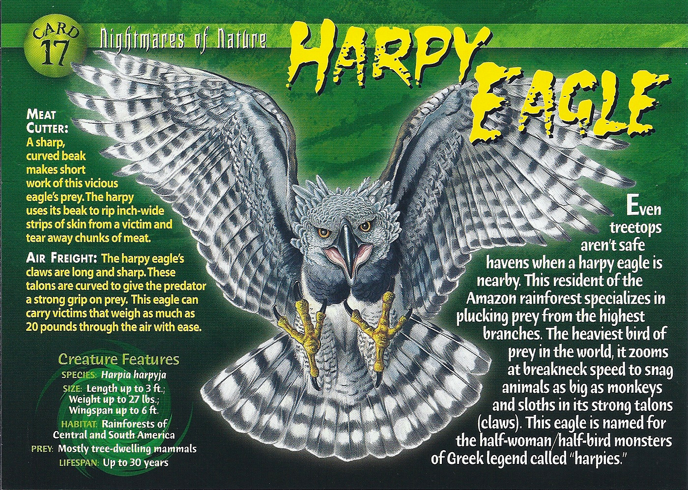 Nature's most powerful: The harpy eagle, Local News