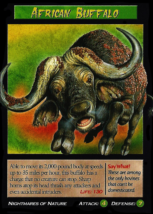Buffalo Cape Buffalo #30/161 Deadly 60 Wild 2008 Common TCG Card 