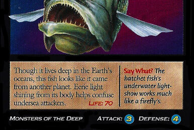 Anglerfish, Weird n' Wild Creatures Wiki