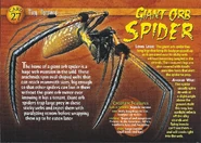 Giant Orb Spider front.jpg (1.39 MB) Giant Orb Spider
