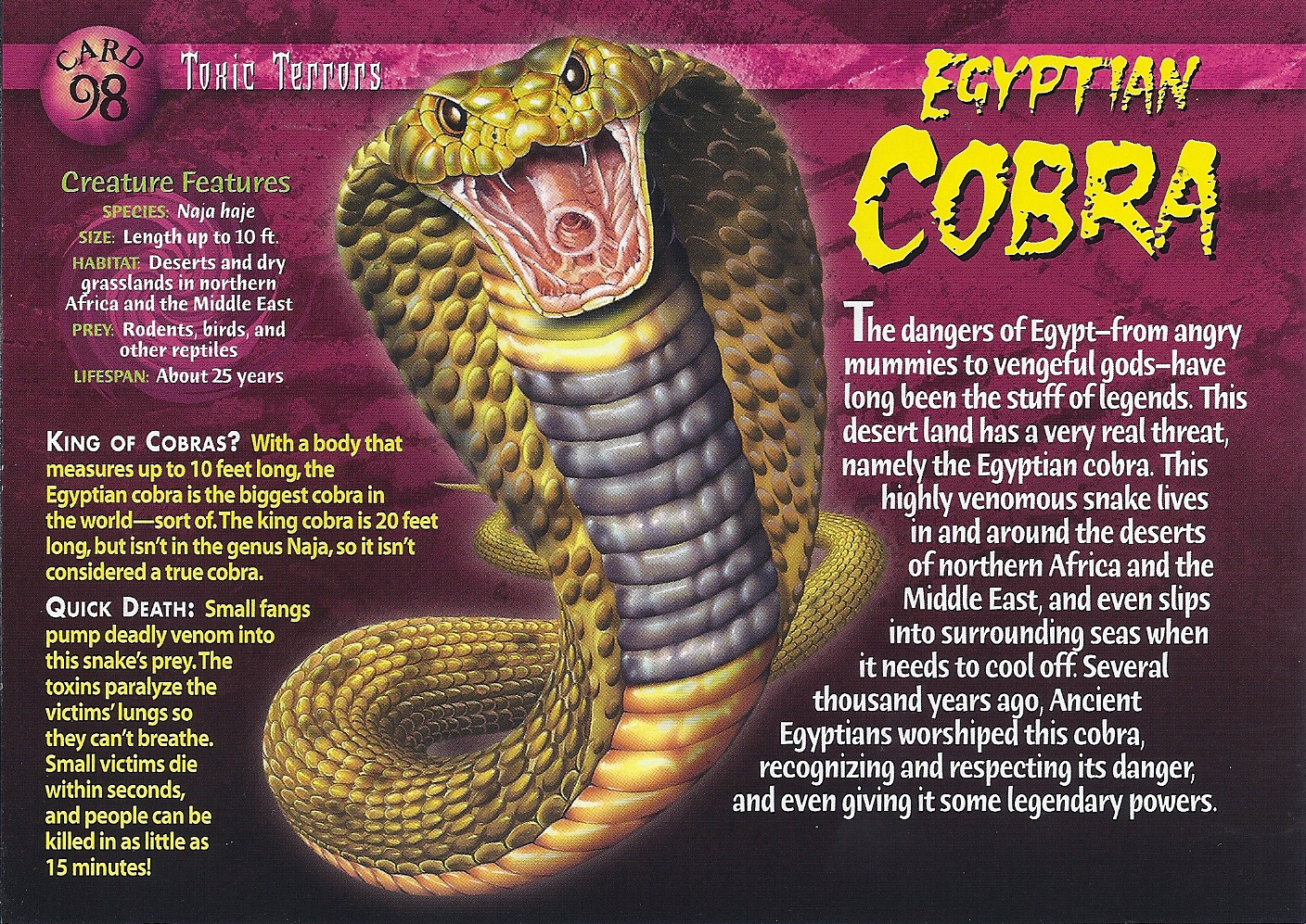 Egyptian Cobra, Weird n' Wild Creatures Wiki