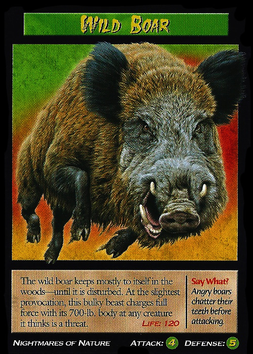 Wild Boar, Weird n' Wild Creatures Wiki