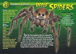 Wolf Spiders | Weird n' Wild Creatures Wiki | Fandom