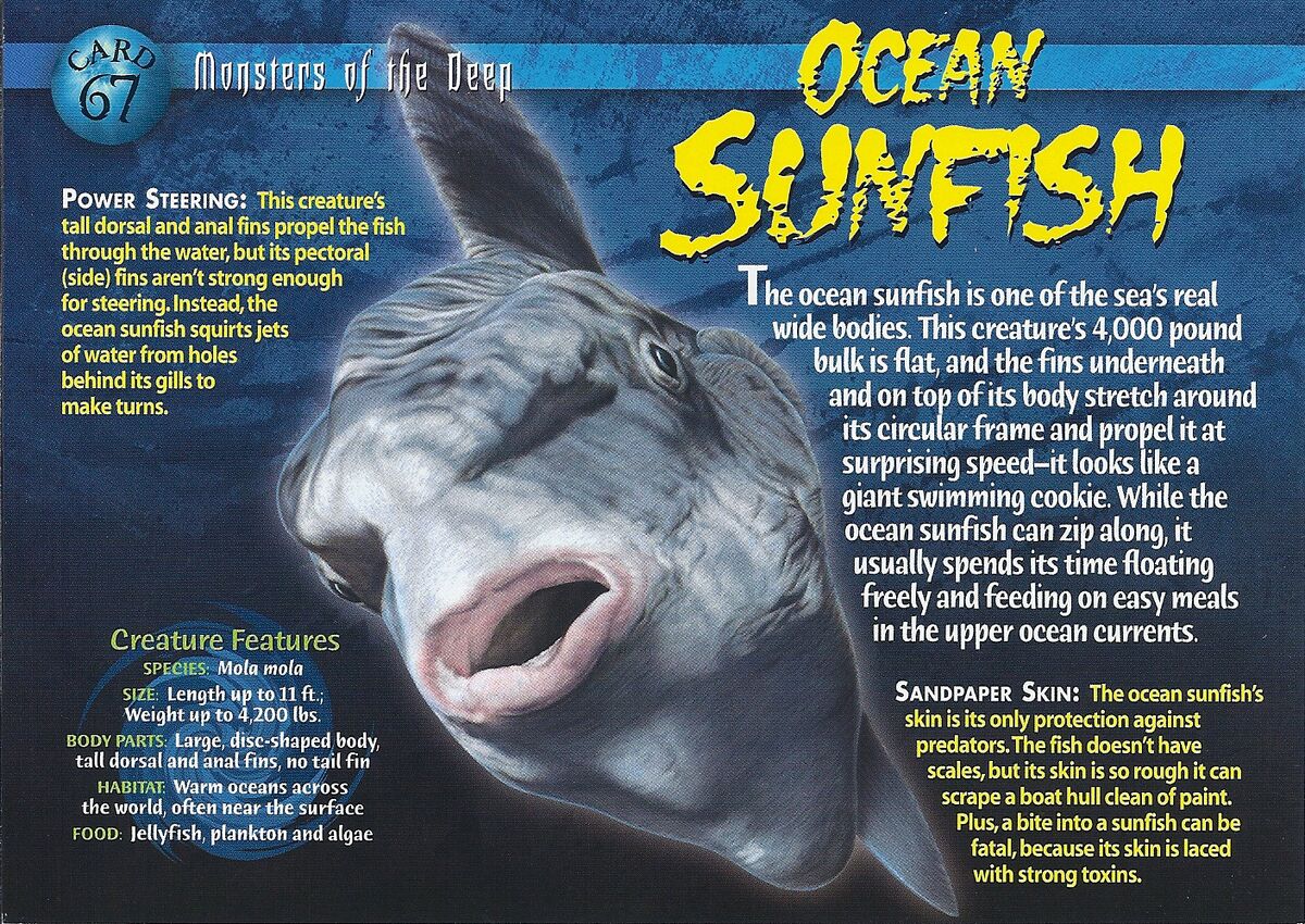 Ocean Sunfish, Weird n' Wild Creatures Wiki