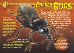 Chagas Bugs front