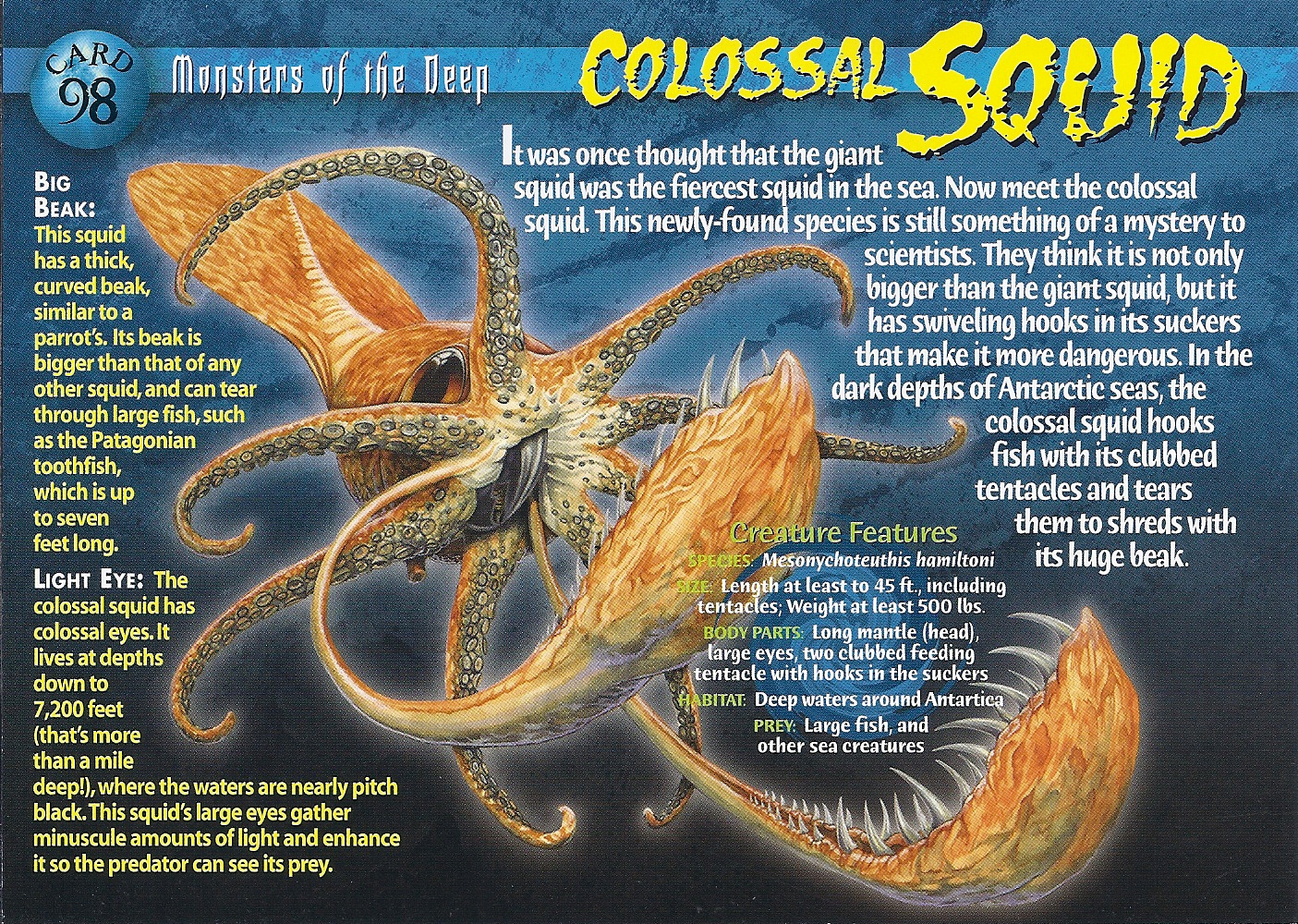 colossal-squid-weird-n-wild-creatures-wiki-fandom