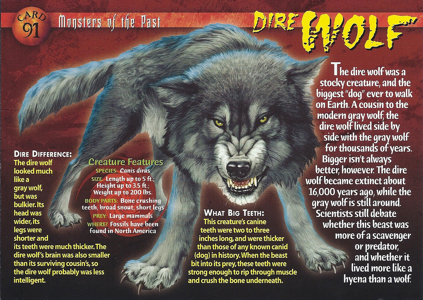 Книга киров волк 90. Вульф мифическое существо. Weird n Wild creatures Wolf. Monsters of the Mind. Волк на английском.