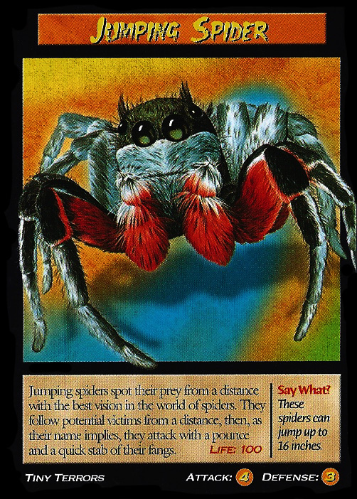 Jumping Spider 🕹️ Jogue Jumping Spider no Jogos123