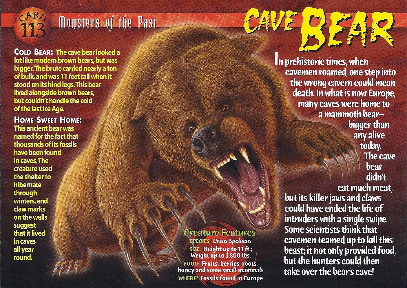 cave-bear-weird-n-wild-creatures-wiki-fandom