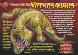 Nothosaurus front