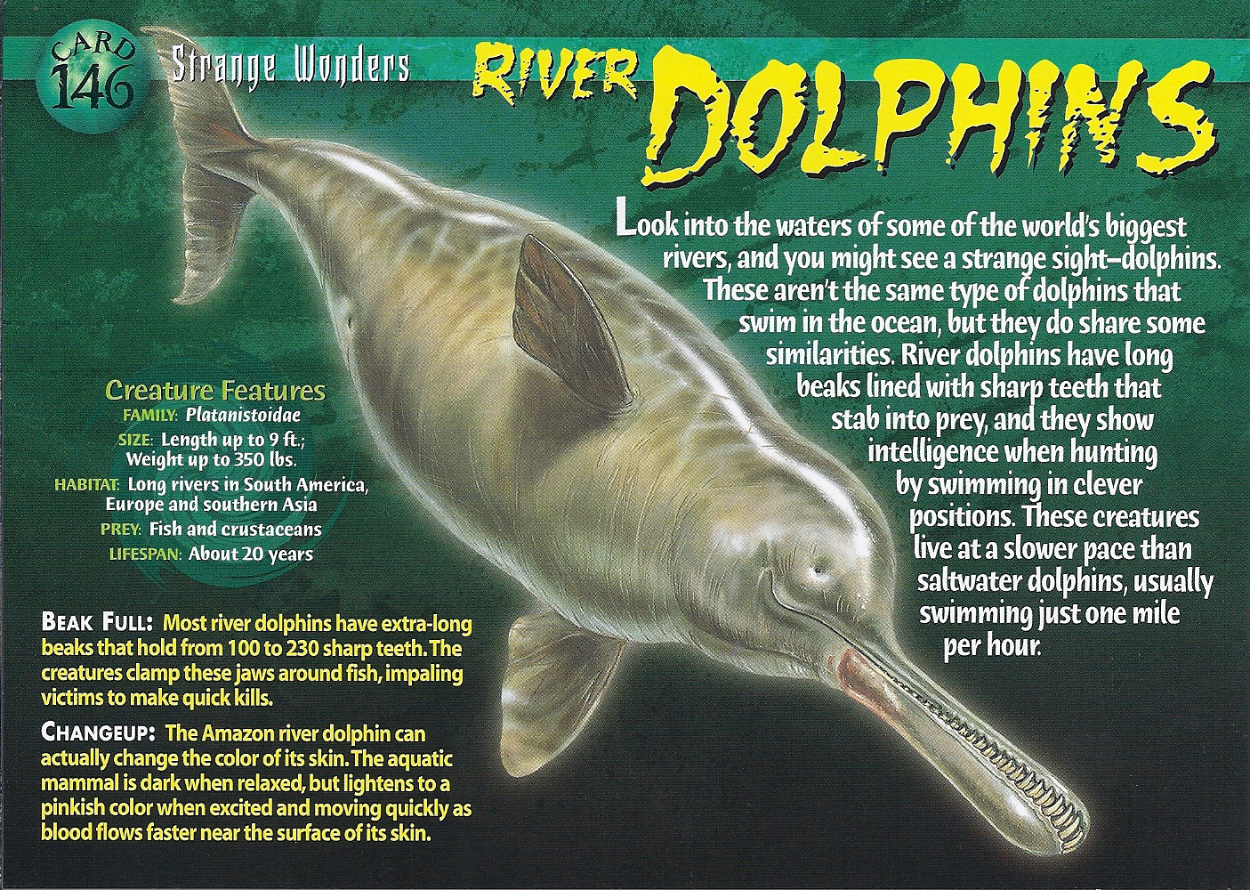 Killing the Ganges river dolphin, slowly