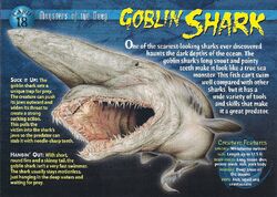 Goblin Shark | Weird n' Wild Creatures Wiki | Fandom