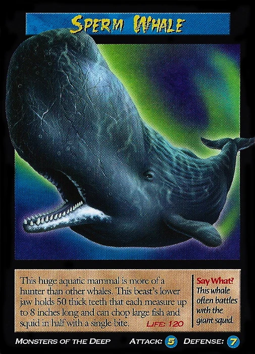 Sperm Whale | Weird n' Wild Creatures Wiki | Fandom