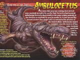 Ambulocetus