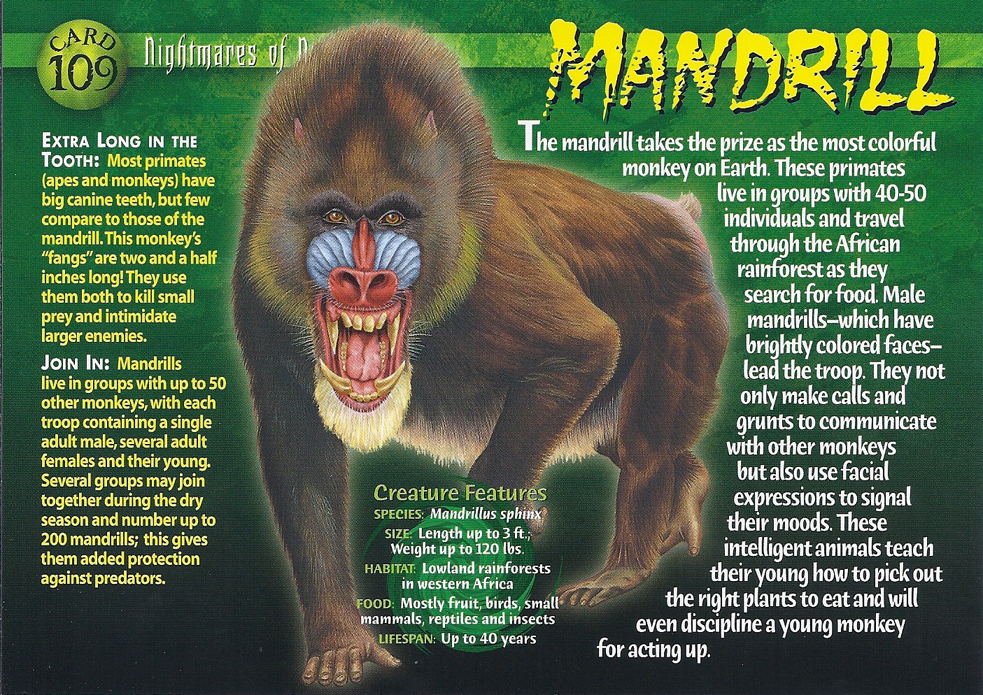 Mandrill Weird N Wild Creatures Wiki Fandom