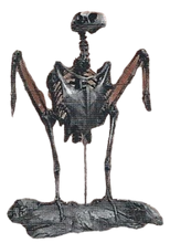 Argentavis Back Image
