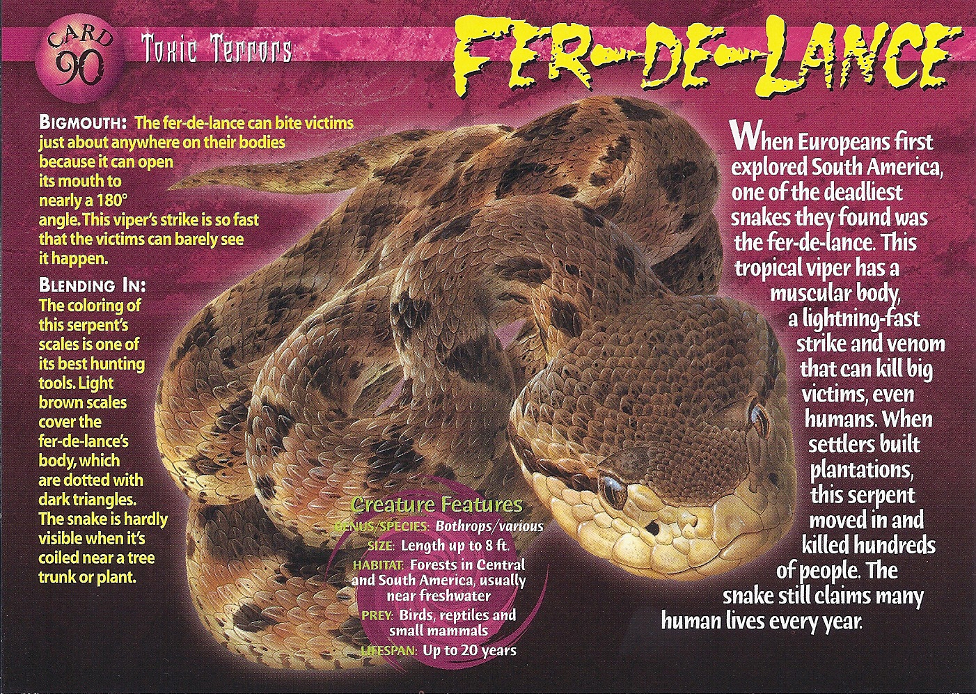 FER-DE-LANCE definition in American English