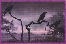 Baba Yaga enlisted ravens to help with her evil deeds.