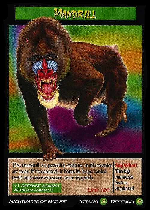 Mandrill | Weird n' Wild Creatures Wiki | Fandom