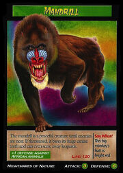 Mandrill