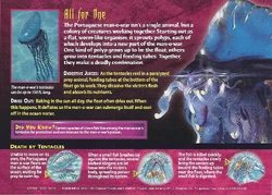 Portuguese Man-o-War back