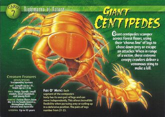 Giant Centipedes front
