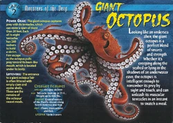Giant Octopus front