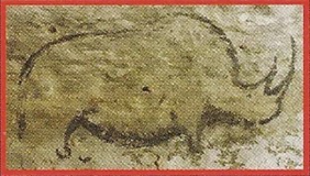 Woolly Rhinoceros Back Image