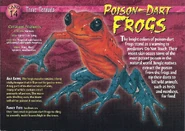 Poison-Dart Frogs front.jpg (1.27 MB) Poison-Dart Frogs