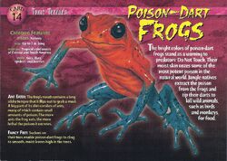 Poison-Dart Frogs front