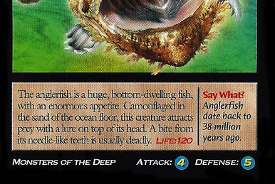 Bearded Anglerfish, Weird n' Wild Creatures Wiki