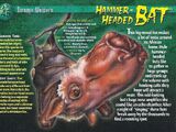 Hammer-Headed Bat