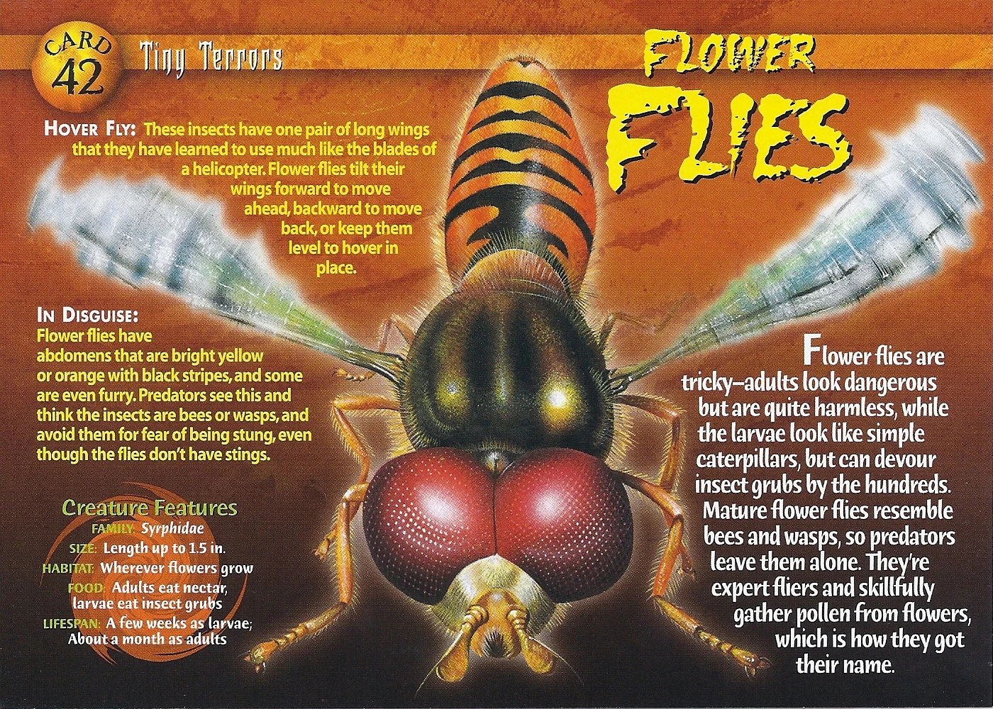 Flower Flies | Weird n' Wild Creatures Wiki | Fandom