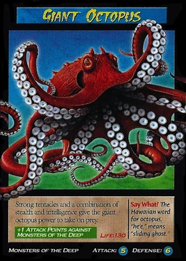 Giant Octopus