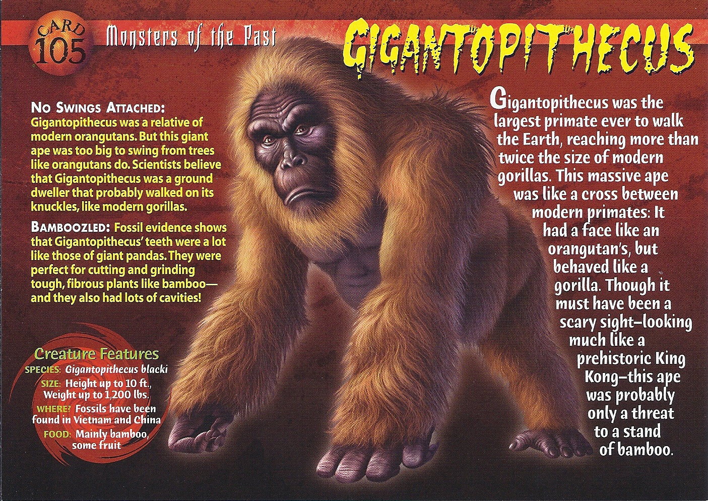 Gigantopithecus | Weird n' Wild Creatures Wiki | Fandom