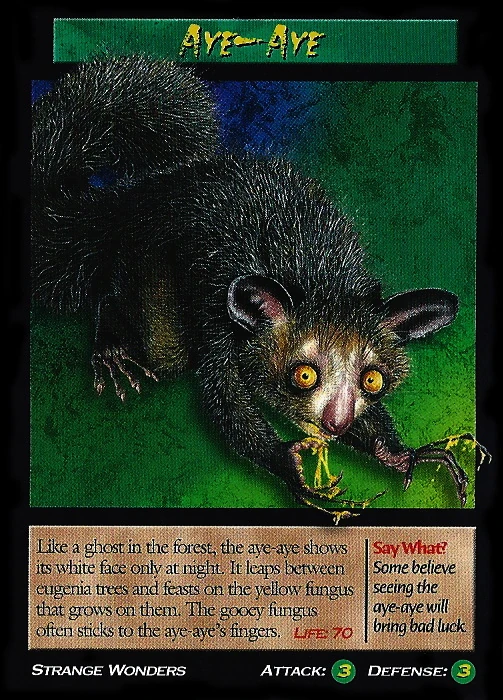 オリジナル UNEUNE ウネウネ alcicorne Madagascar オリジナル UNEUNE ウネウネ alcicorne アルマダ ビカクシダ