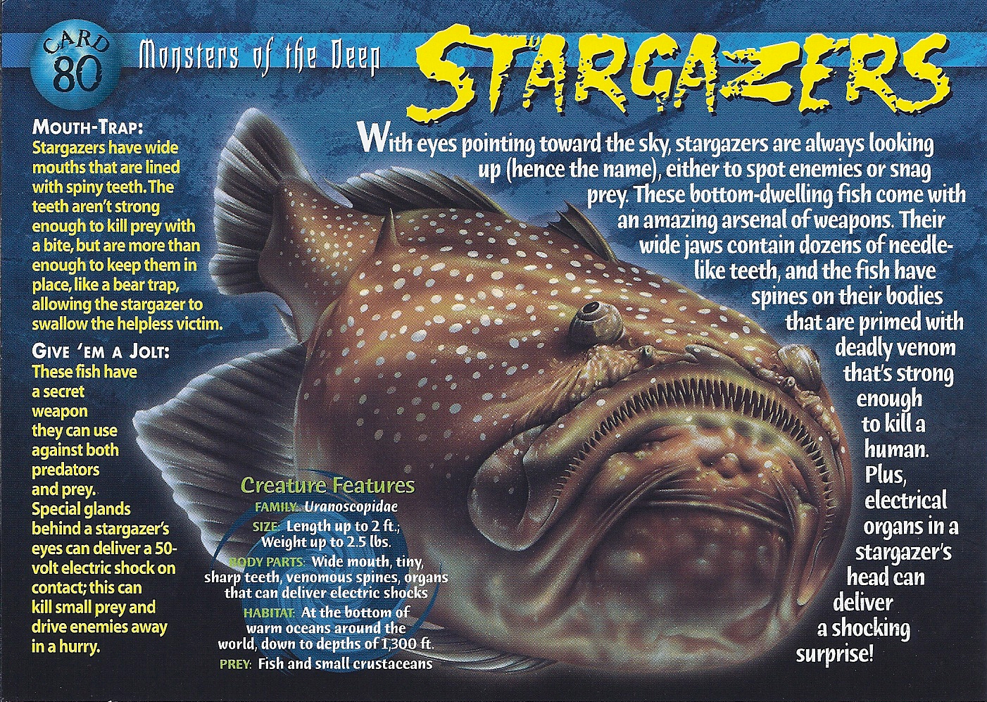 Stargazers, Weird n' Wild Creatures Wiki
