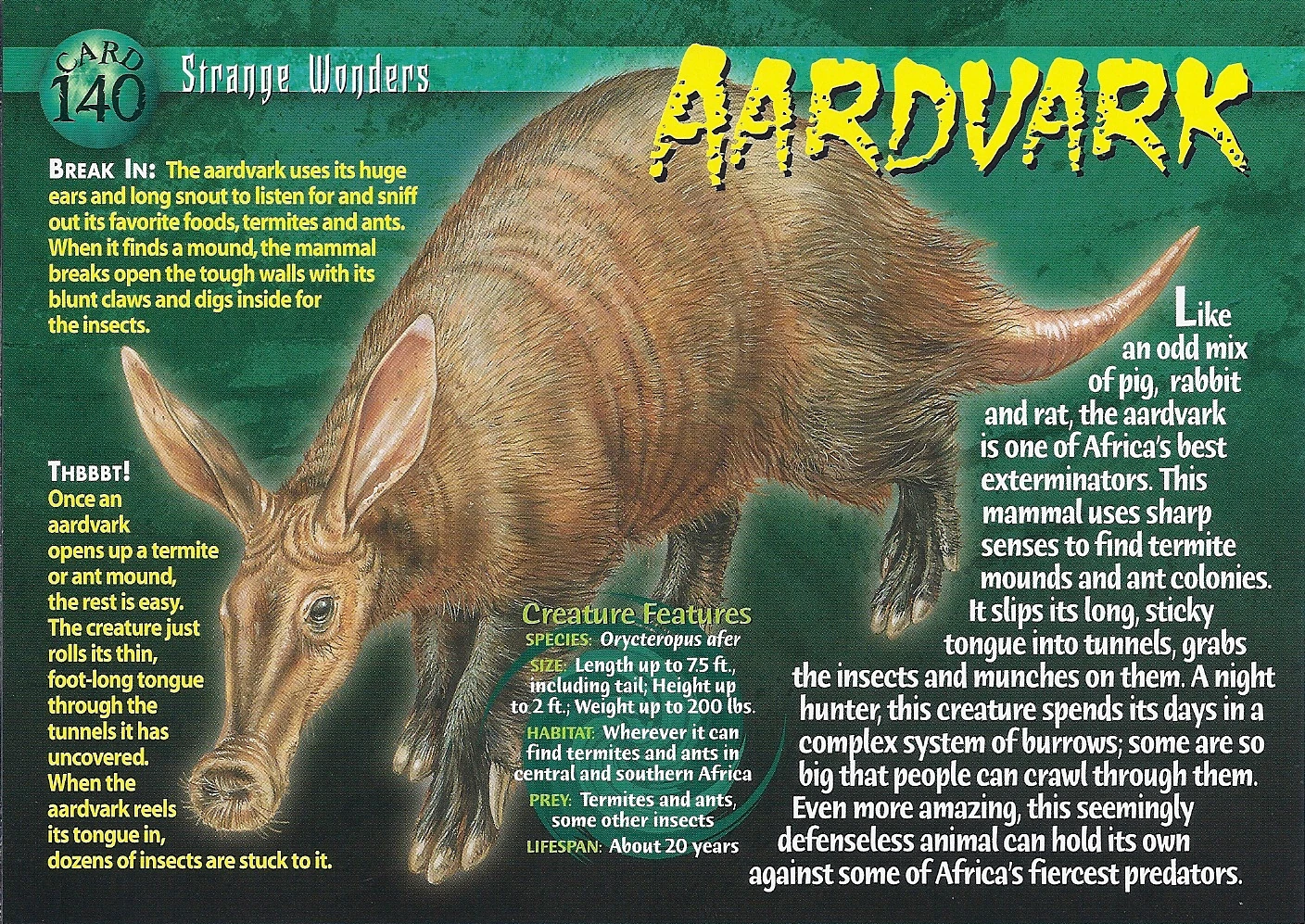 【Deram Nova】Aardvark / Aardvark Aardvark | Zoopedia Wiki | Fandom