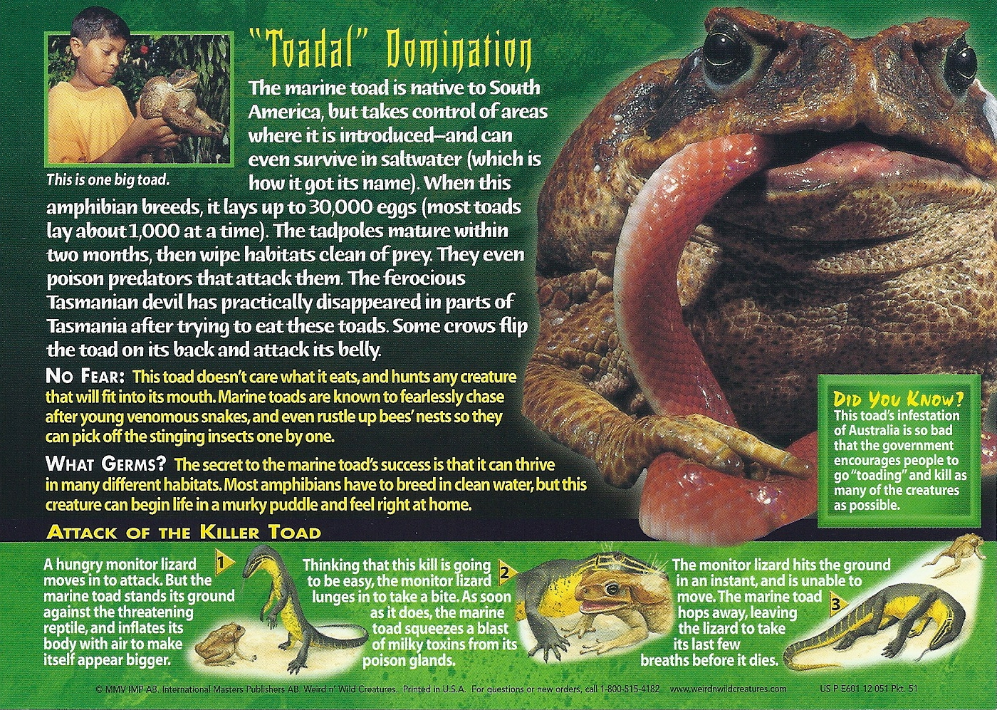 Toadfish, Weird n' Wild Creatures Wiki