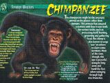 Chimpanzee