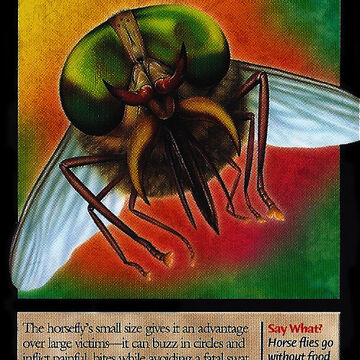 Horse Fly Weird N Wild Creatures Wiki Fandom