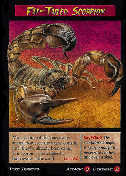 Black Widow Scorpion: Deadly Duel in the Desert