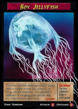 Box Jellyfish | Weird n' Wild Creatures Wiki | Fandom