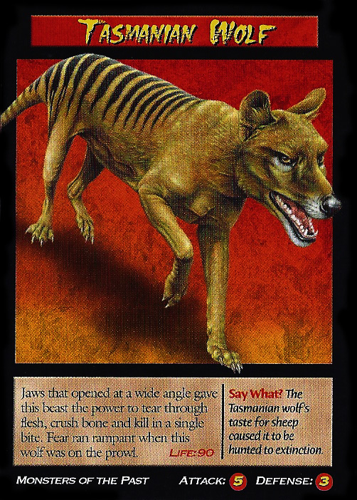 Thylacine, Tasmanian Wolf