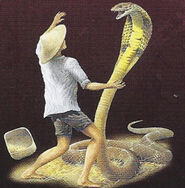 King cobra 1.jpg